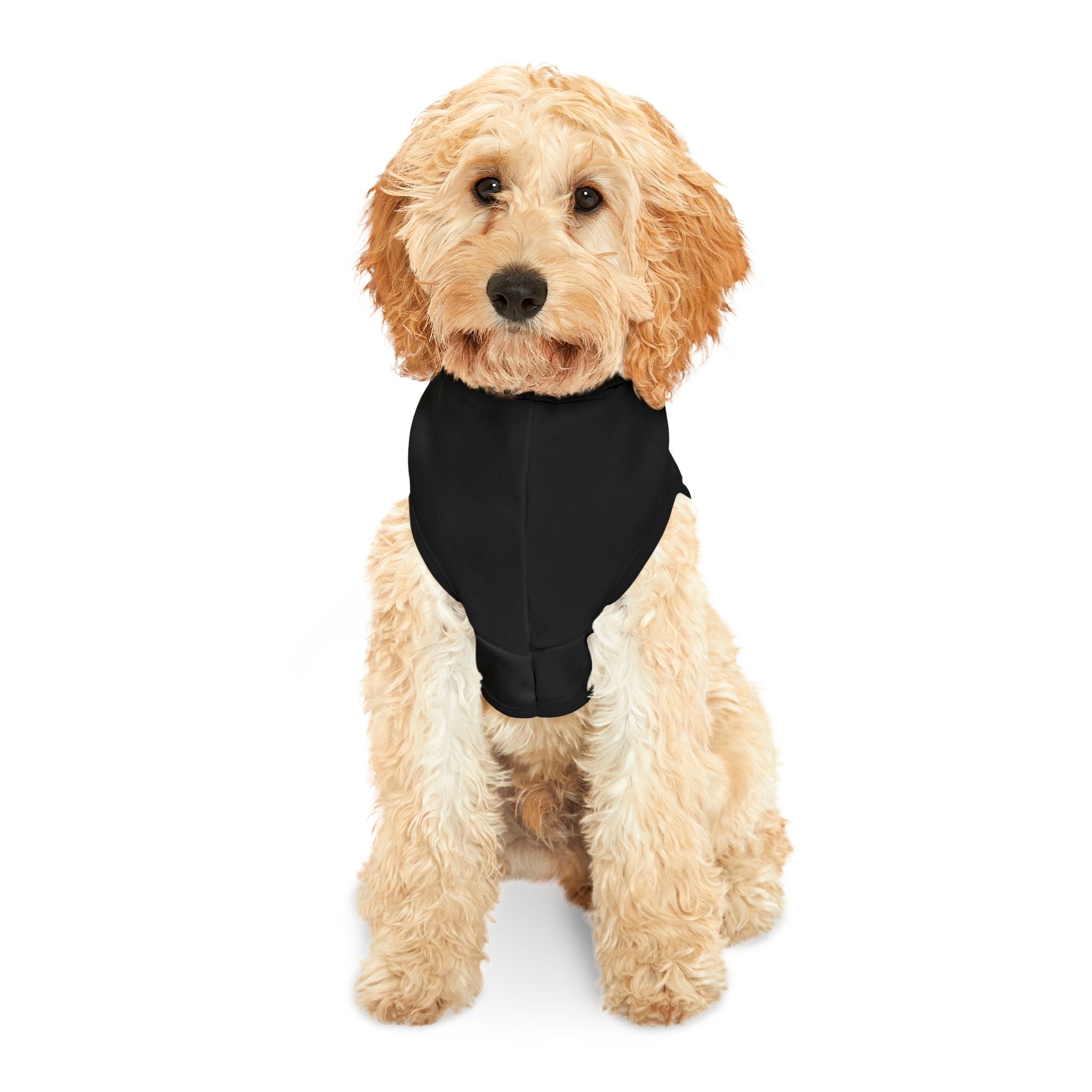 Pet Hoodie - "Cool Cat" Graphic Hooded Dog & Cat Sweatshirt for Small Pets