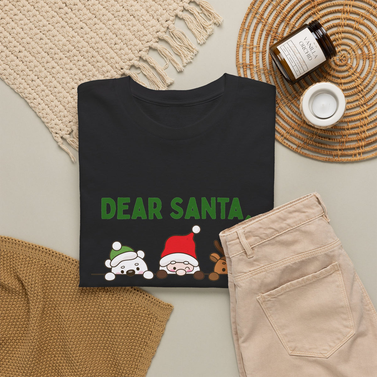 Dear Santa I Can Explain Christmas T-Shirt