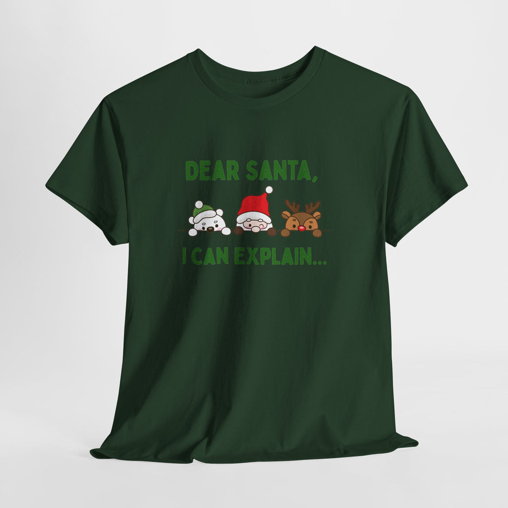 Dear Santa I Can Explain Christmas T-Shirt