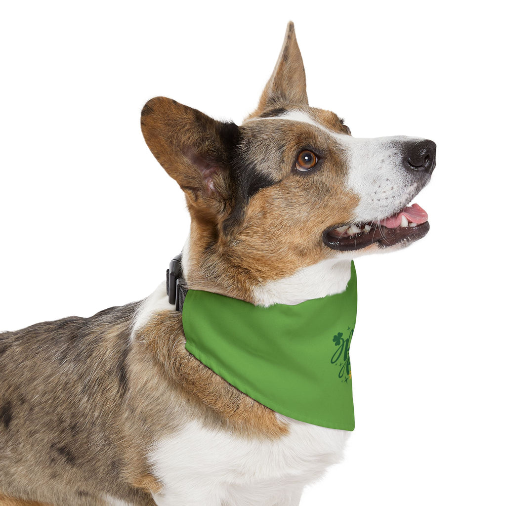 Pet Bandana Collar — "Pinch Proof" St. Patrick’s Day Green Dog Bandana