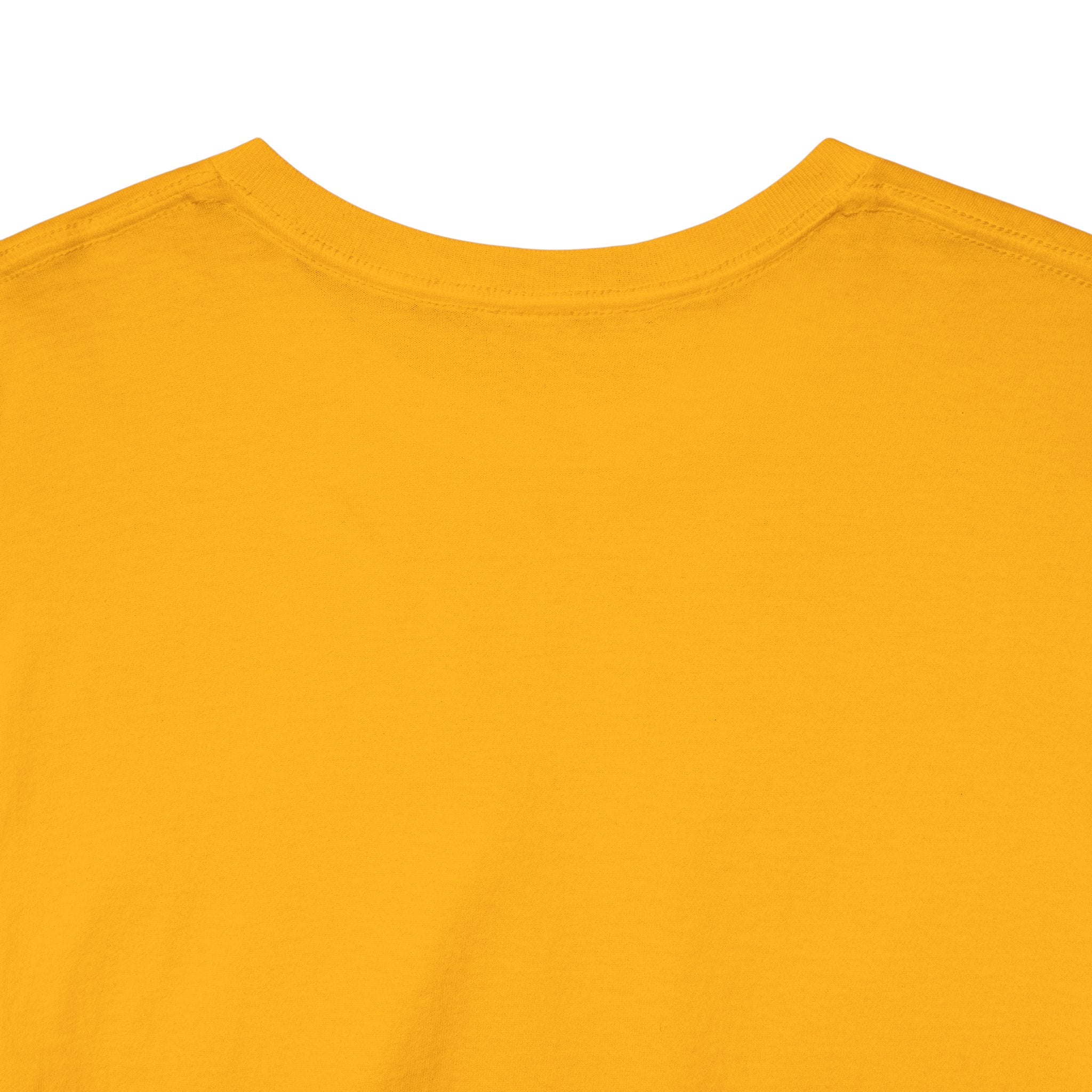 Robinson Court T-Shirt — Vintage College Style Tee