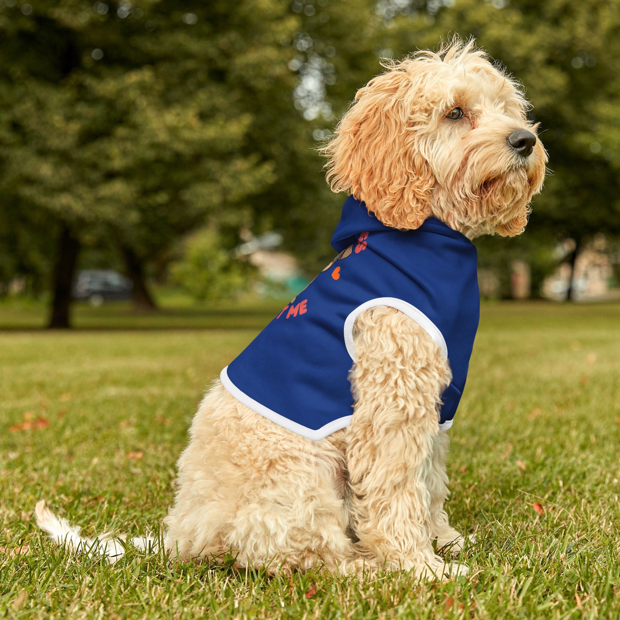 Pet Hoodie - "Tail Wags If You Pet Me" Cute Puppy Dog Hoodie for Small Dogs