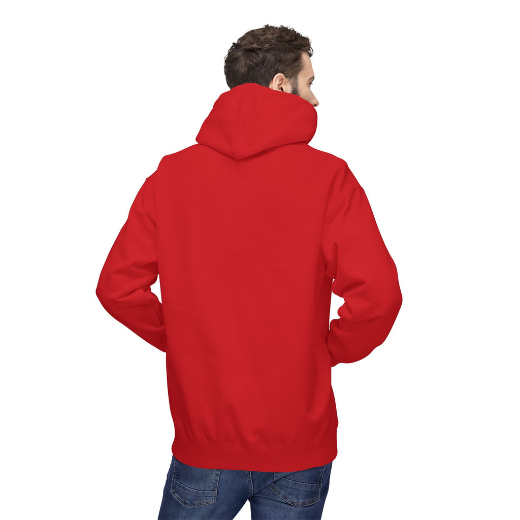 Pisces Zodiac Fleece Hoodie for Astrology Lovers