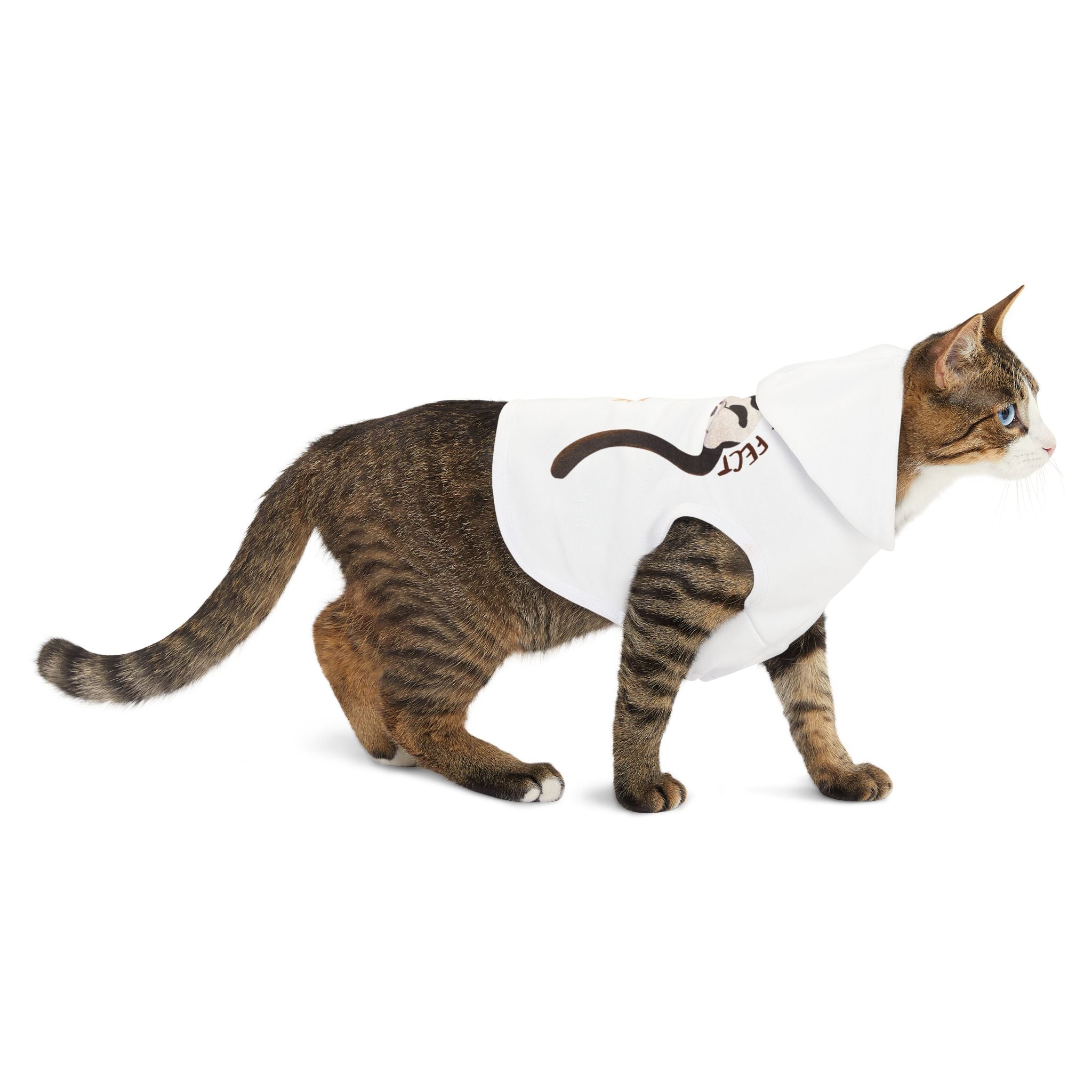 "I'm Purr-fect" Pet Hoodie