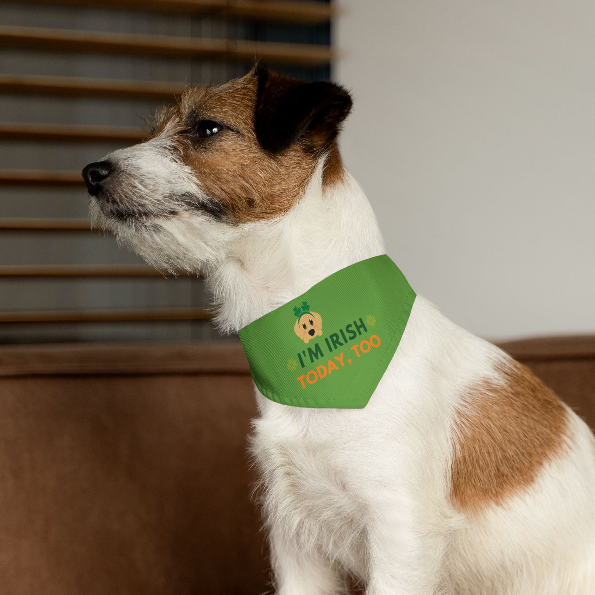 Pet Bandana — “I'm Irish today, too” Green Dog Bandana Collar