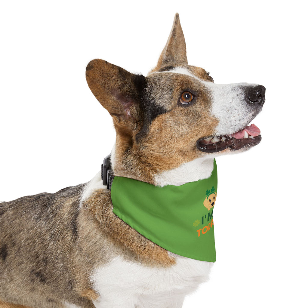 Pet Bandana — “I'm Irish today, too” Green Dog Bandana Collar