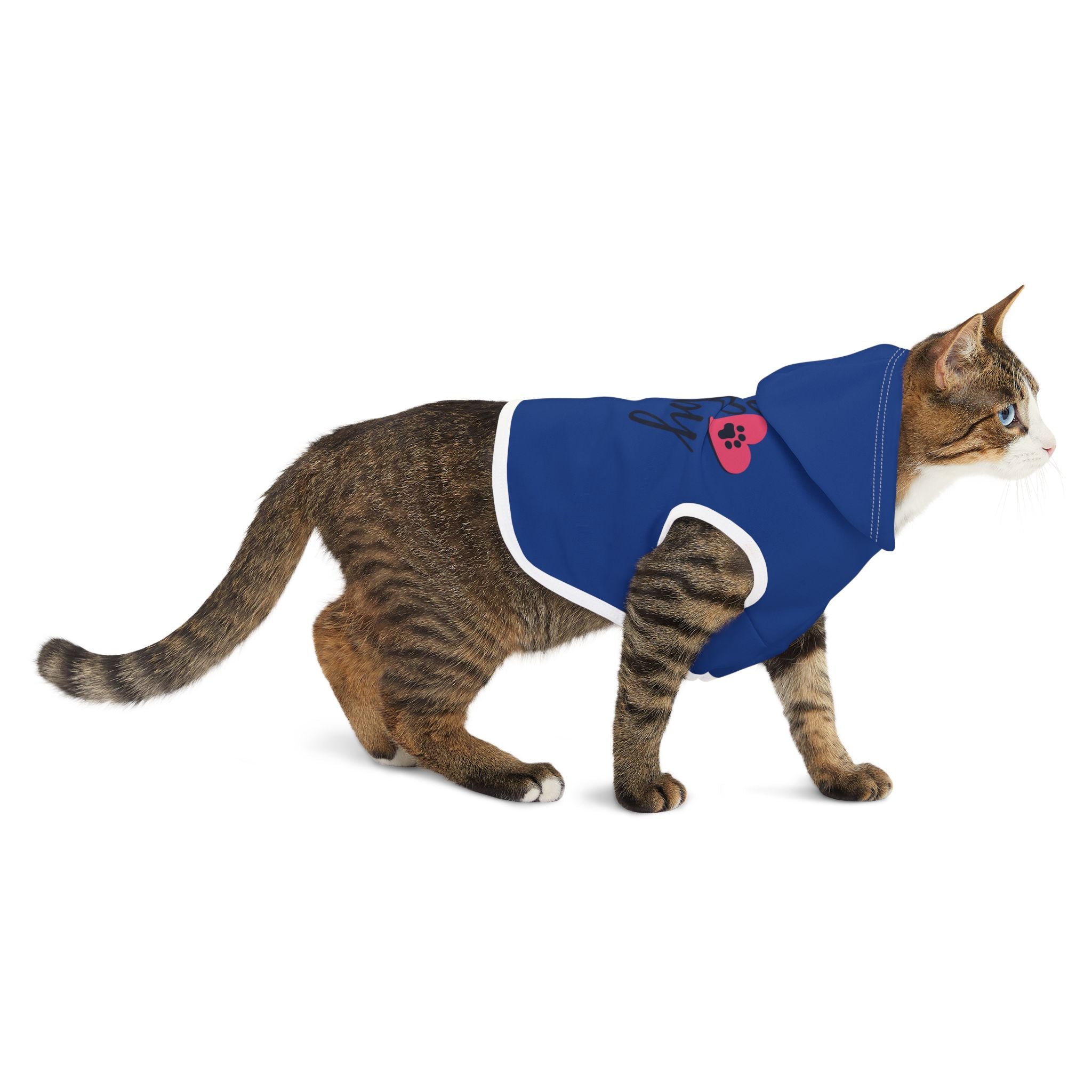Pet Hoodie — "Furr Baby" Blue Dog & Cat Hoodie with Paw Heart