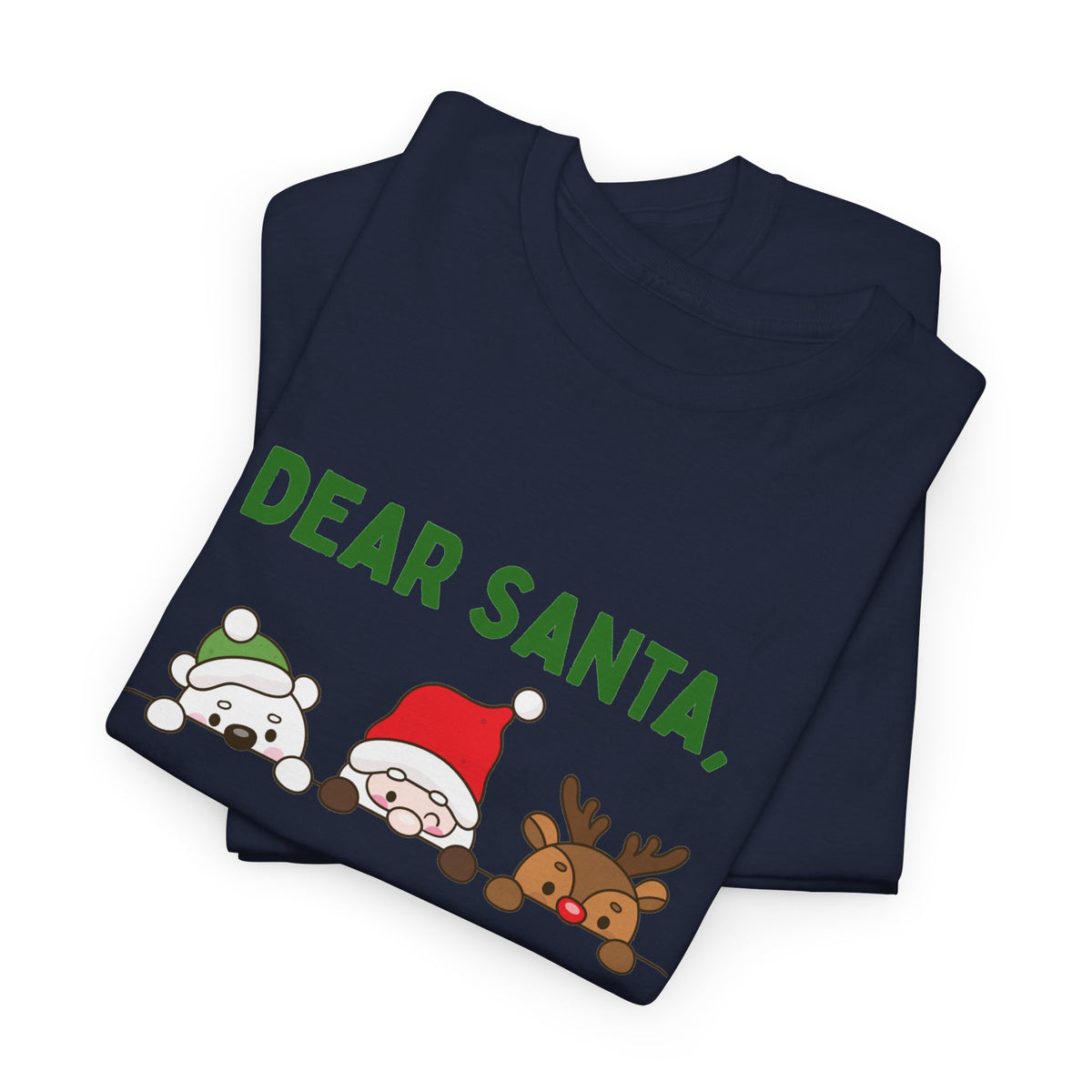 Dear Santa I Can Explain Christmas T-Shirt