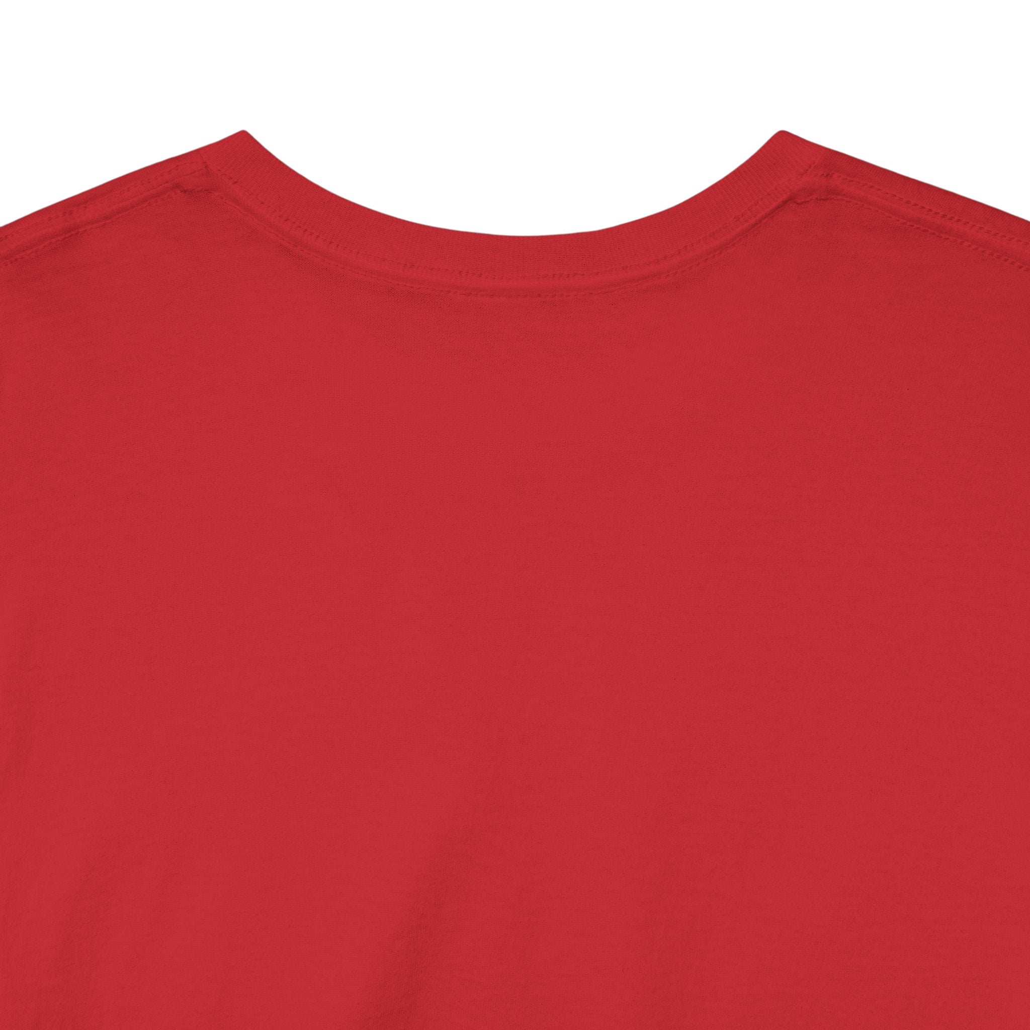 Robinson Court T-Shirt — Vintage College Style Tee
