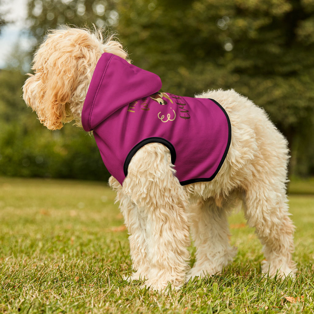 Pet Hoodie - "My Human Walks Me Everyday" Pink Dog Hoodie for Small Dogs, Cute Warm Pet Coat