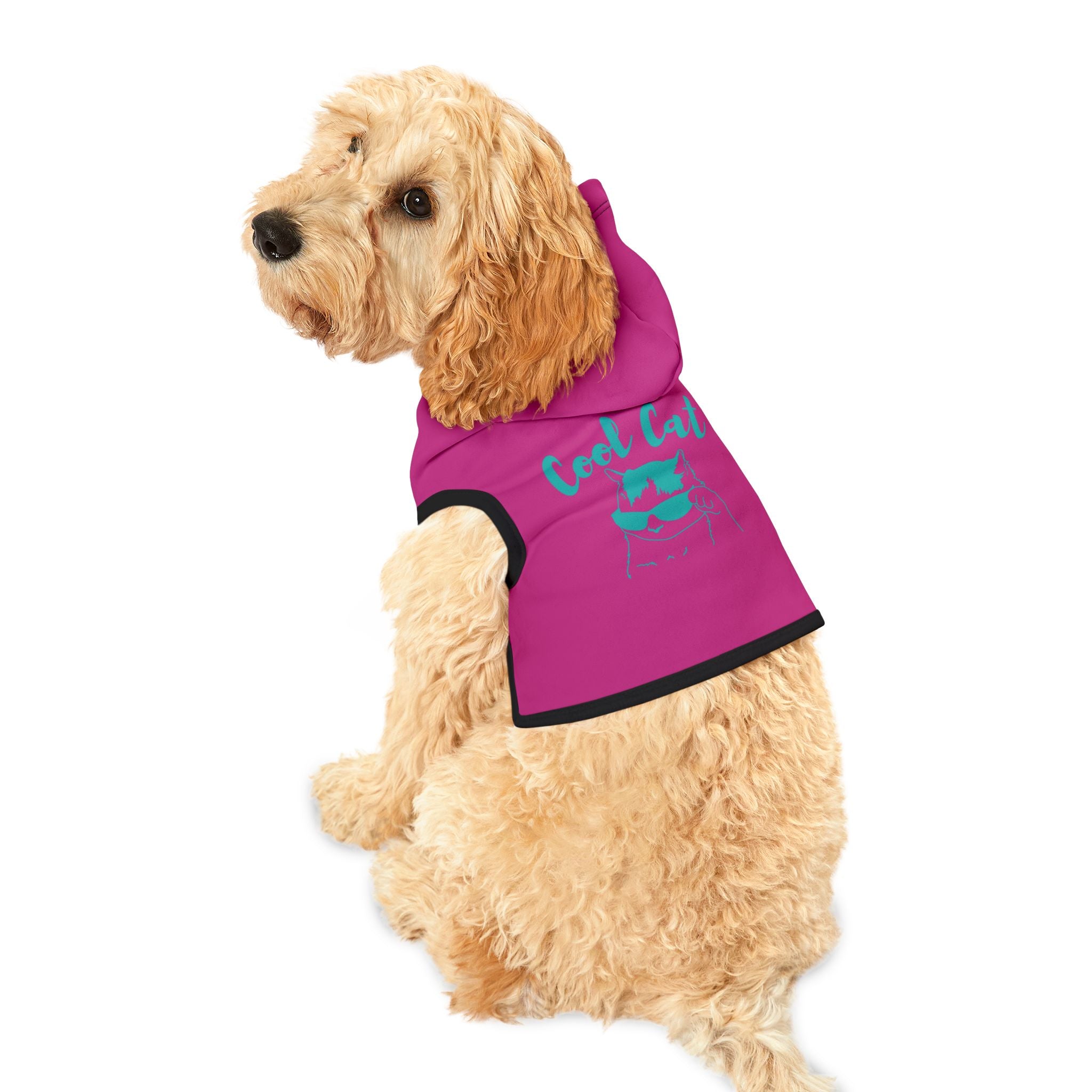 Cool Cat Pet Hoodie – Pink Cat Hoodie for Stylish Cats