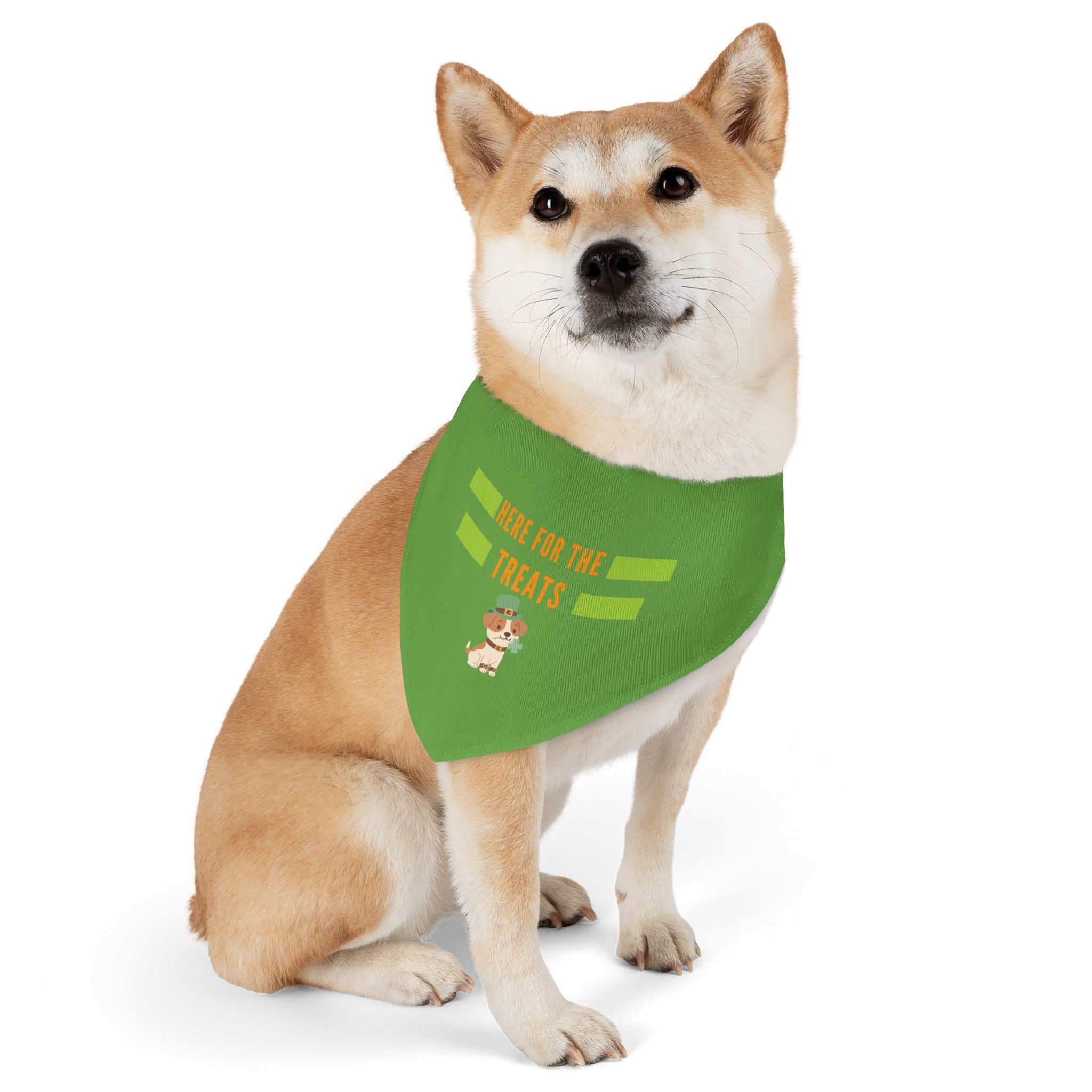 Pet Bandana — "Here for the Treats" Green Dog Collar Accessory