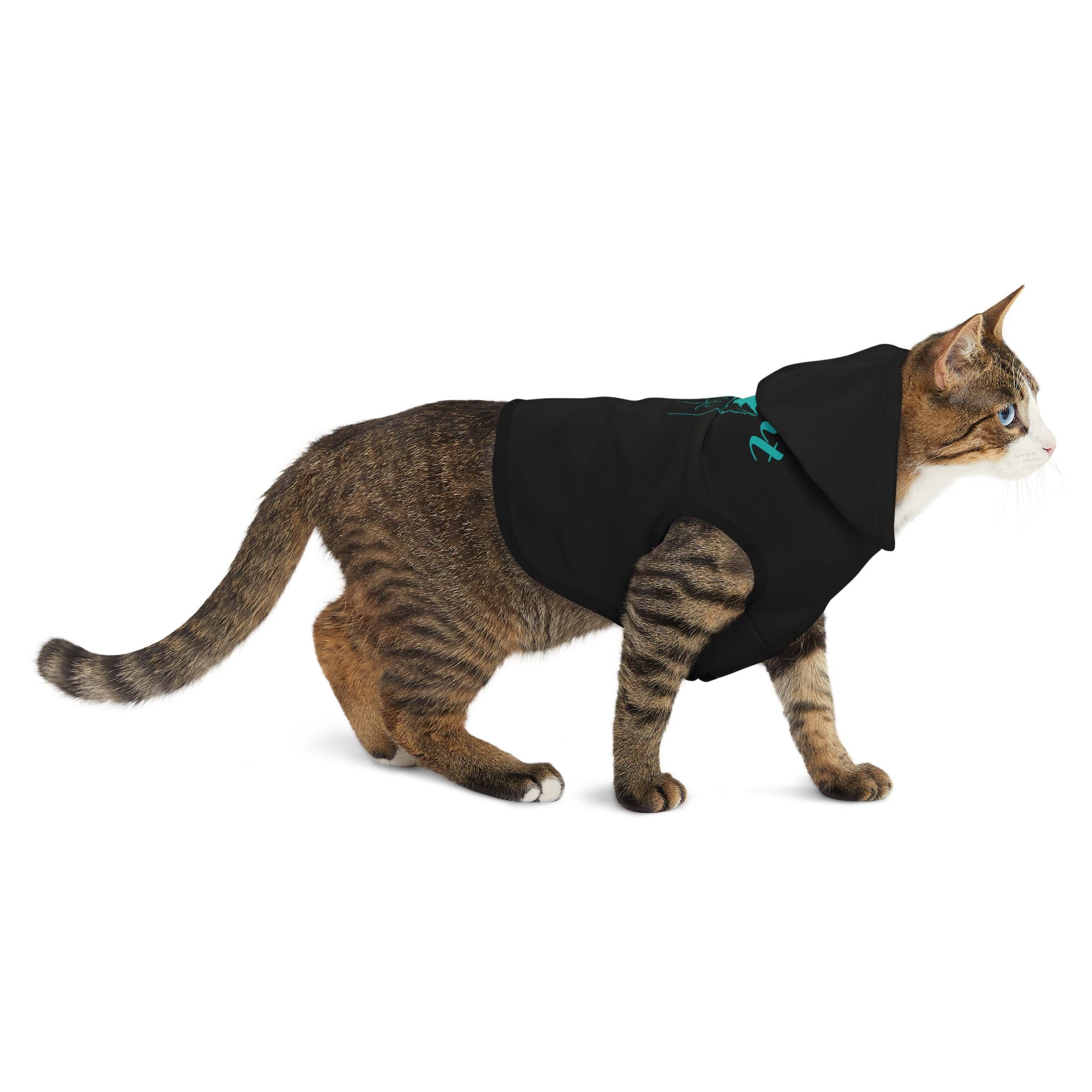 Pet Hoodie - "Cool Cat" Graphic Hooded Dog & Cat Sweatshirt for Small Pets