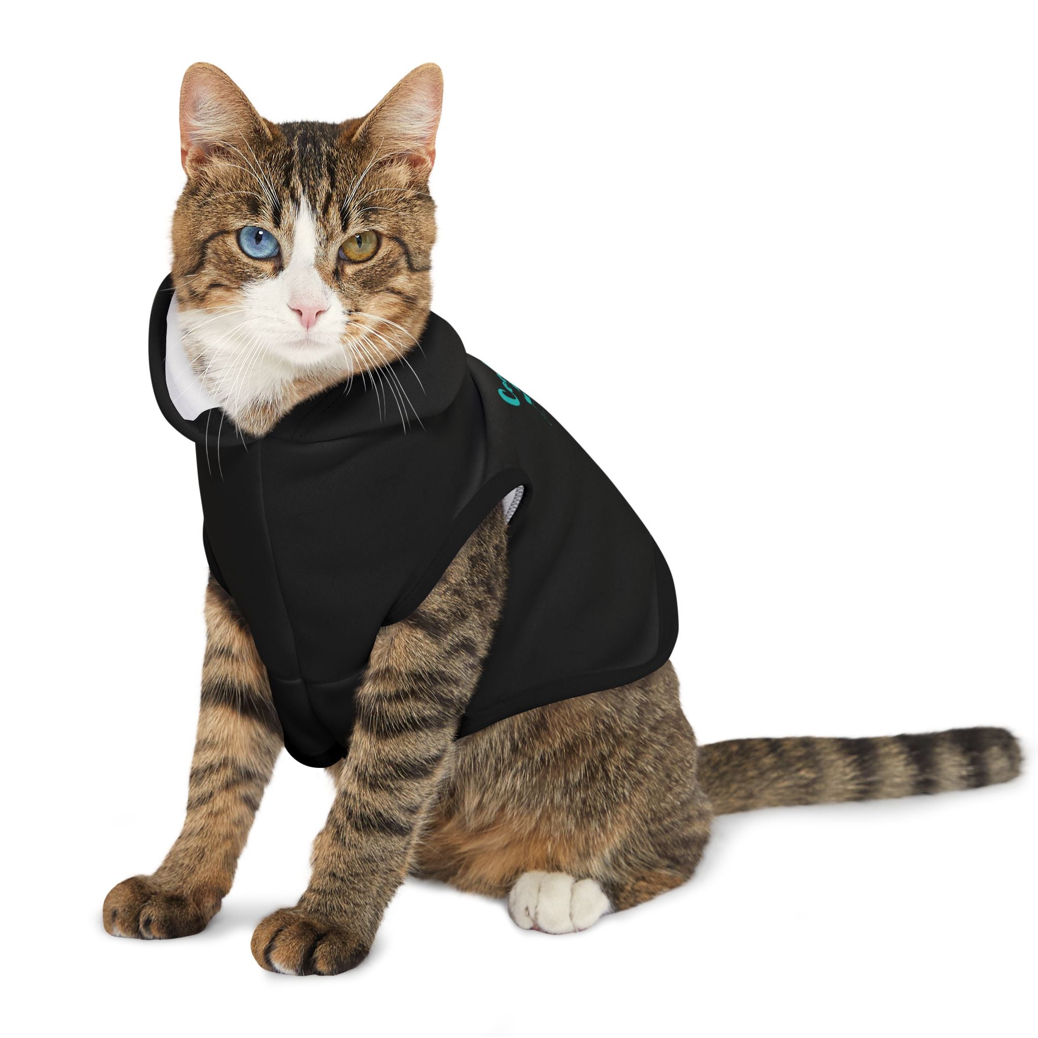 Pet Hoodie - "Cool Cat" Graphic Hooded Dog & Cat Sweatshirt for Small Pets