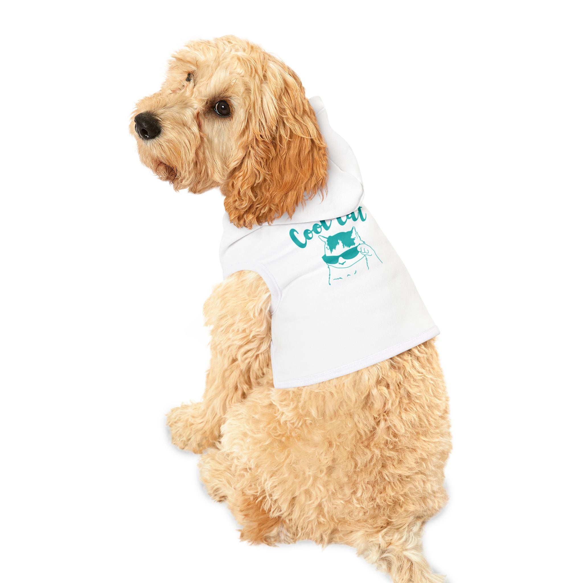 Cool Cat Pet Hoodie — Funny Cat Hoodie for Small Pets