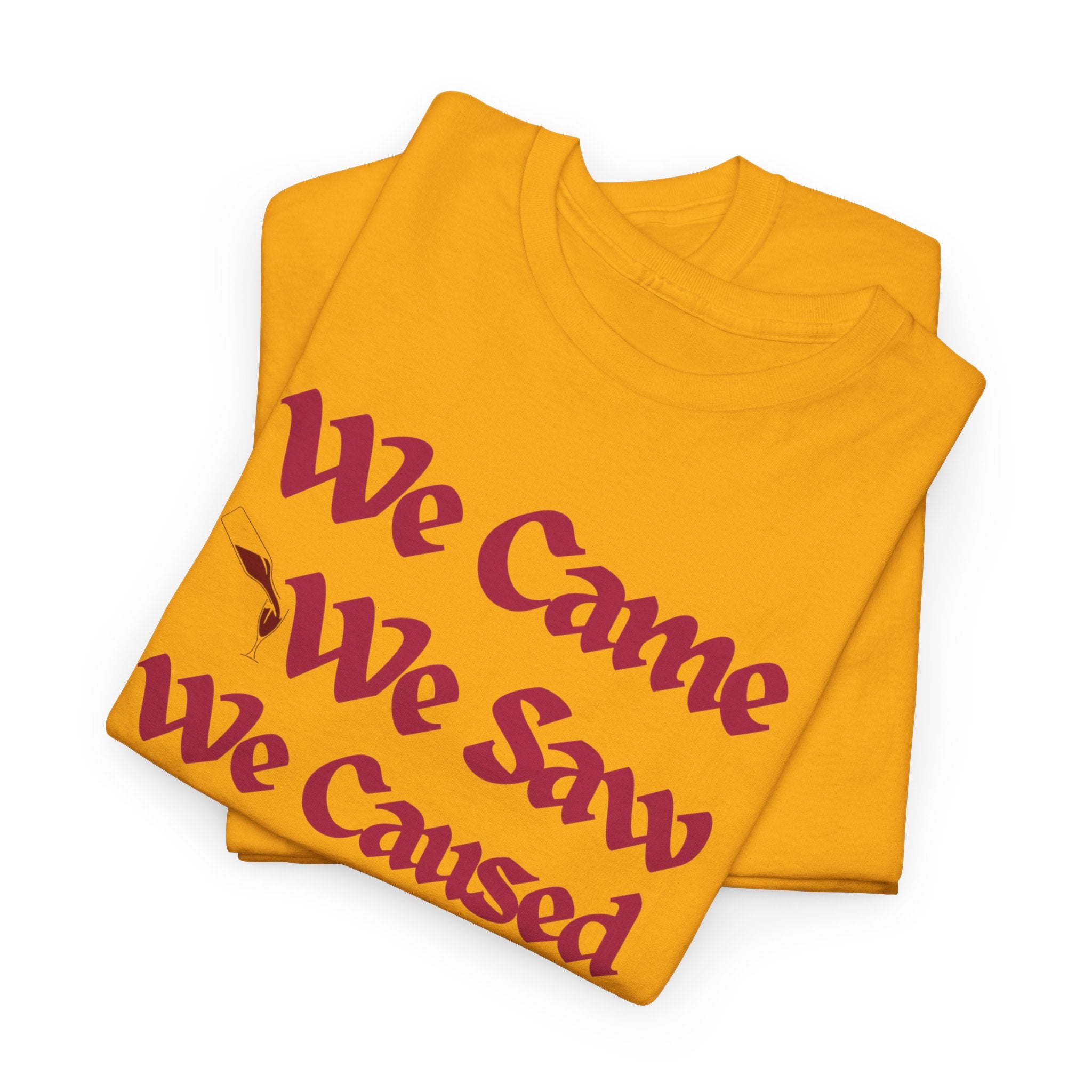 We Came We Saw We Caused A Scene T‑Shirt