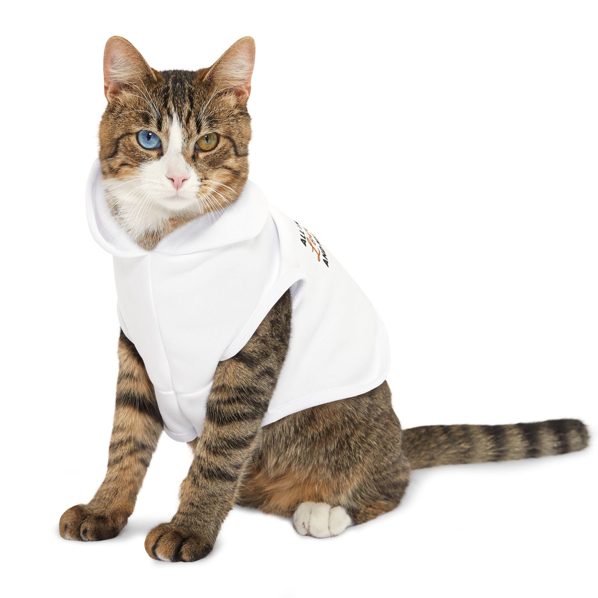 Pet Hoodie — “All I Need Is Love and My Human” Cute Dog & Cat Hoodie