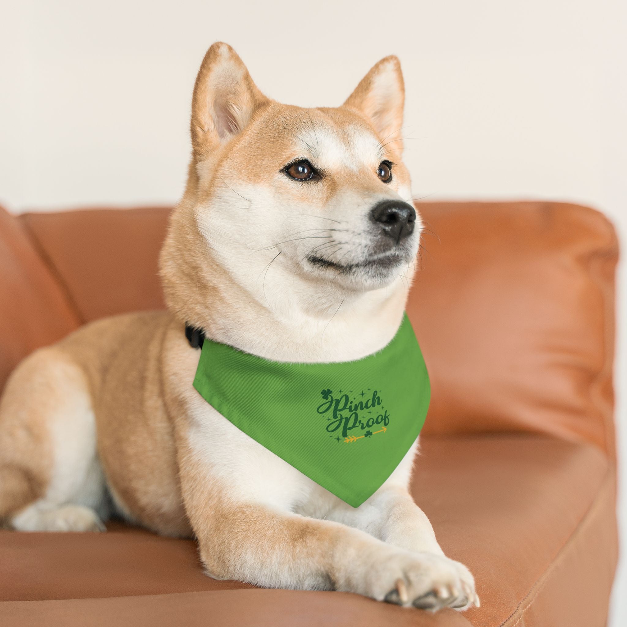 Pet Bandana Collar — "Pinch Proof" St. Patrick’s Day Green Dog Bandana