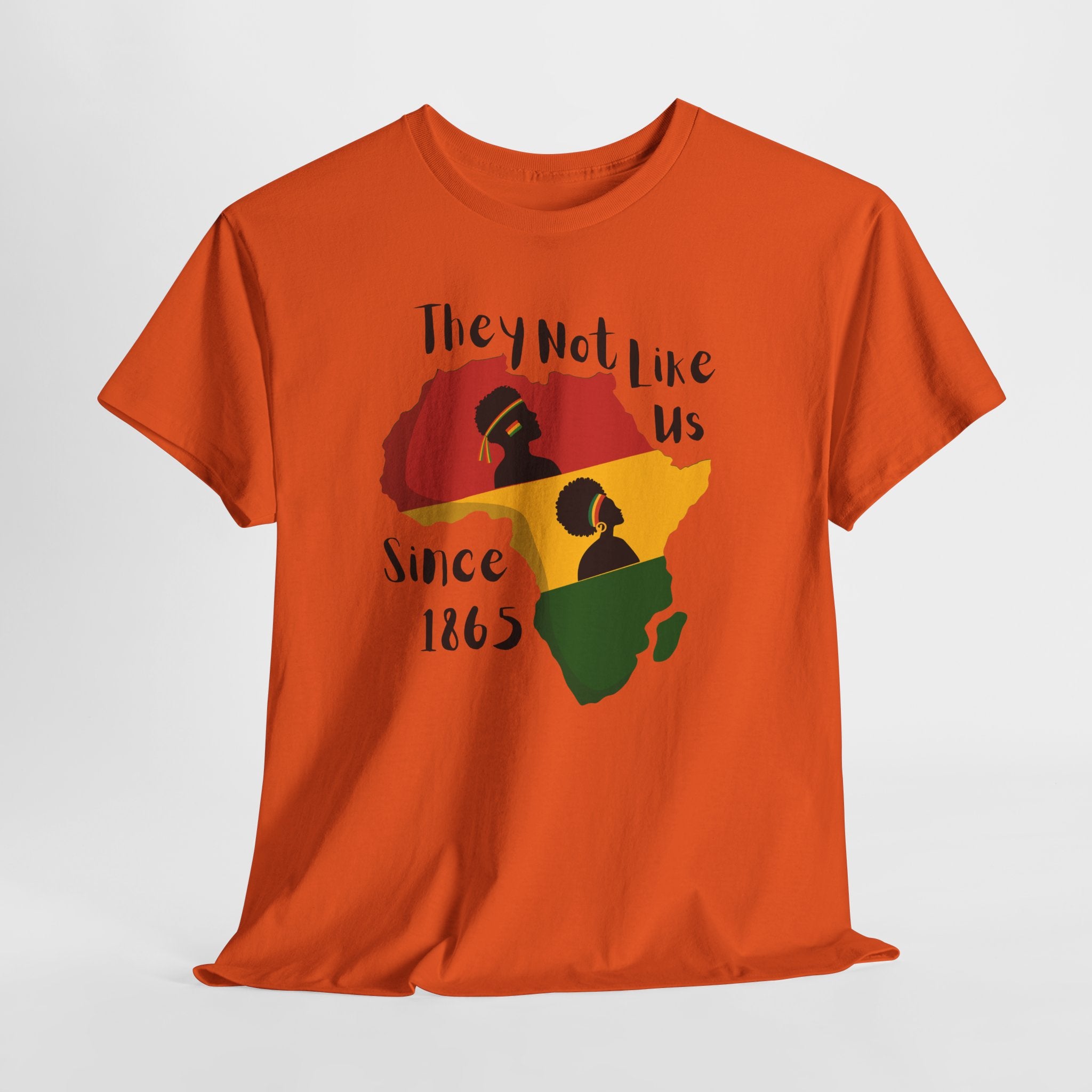 Juneteenth Africa T-Shirt — 'They Not Like Us' Black Culture Tee