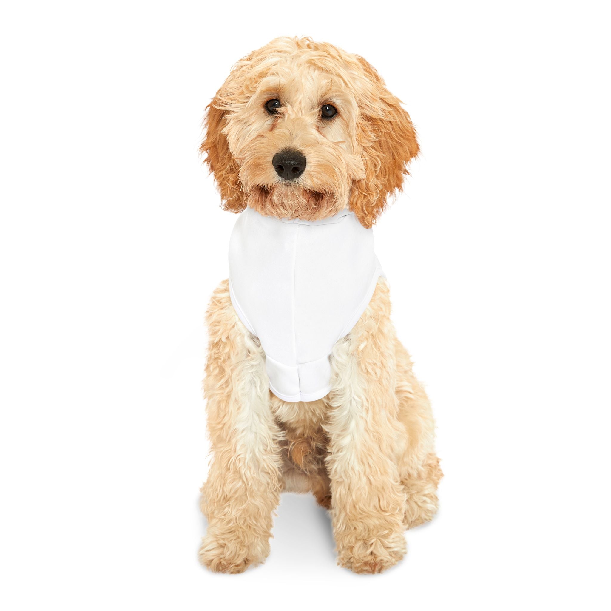 "I'm Purr-fect" Pet Hoodie
