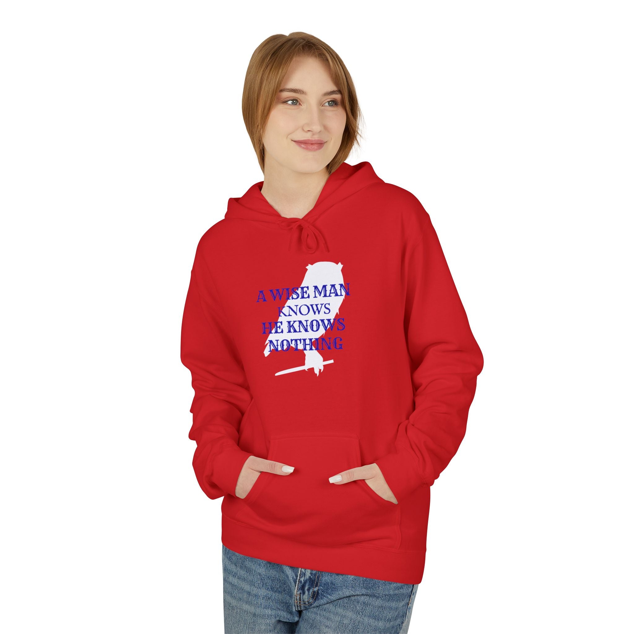 Hoodie — “A Wise Man Knows He Knows Nothing” Minimal Quote Pullover