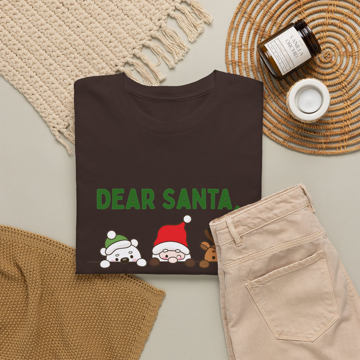 Dear Santa I Can Explain Christmas T-Shirt
