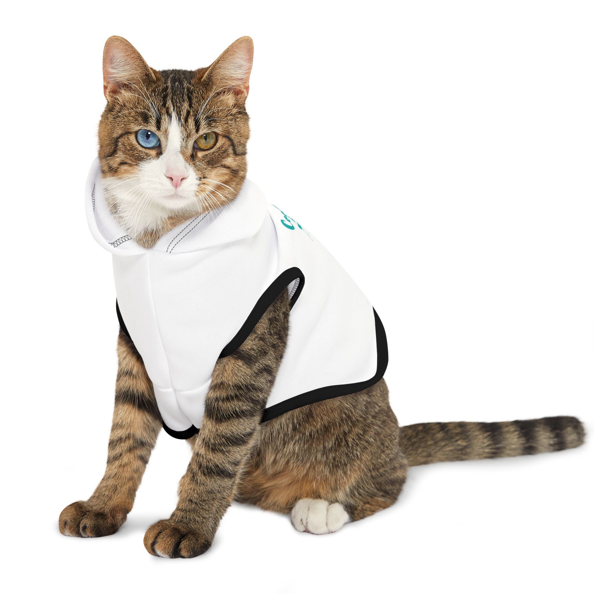 Cool Cat Pet Hoodie — Funny Cat Hoodie for Small Pets