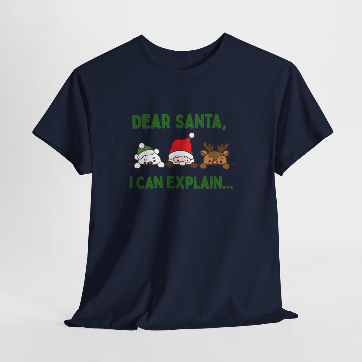 Dear Santa I Can Explain Christmas T-Shirt