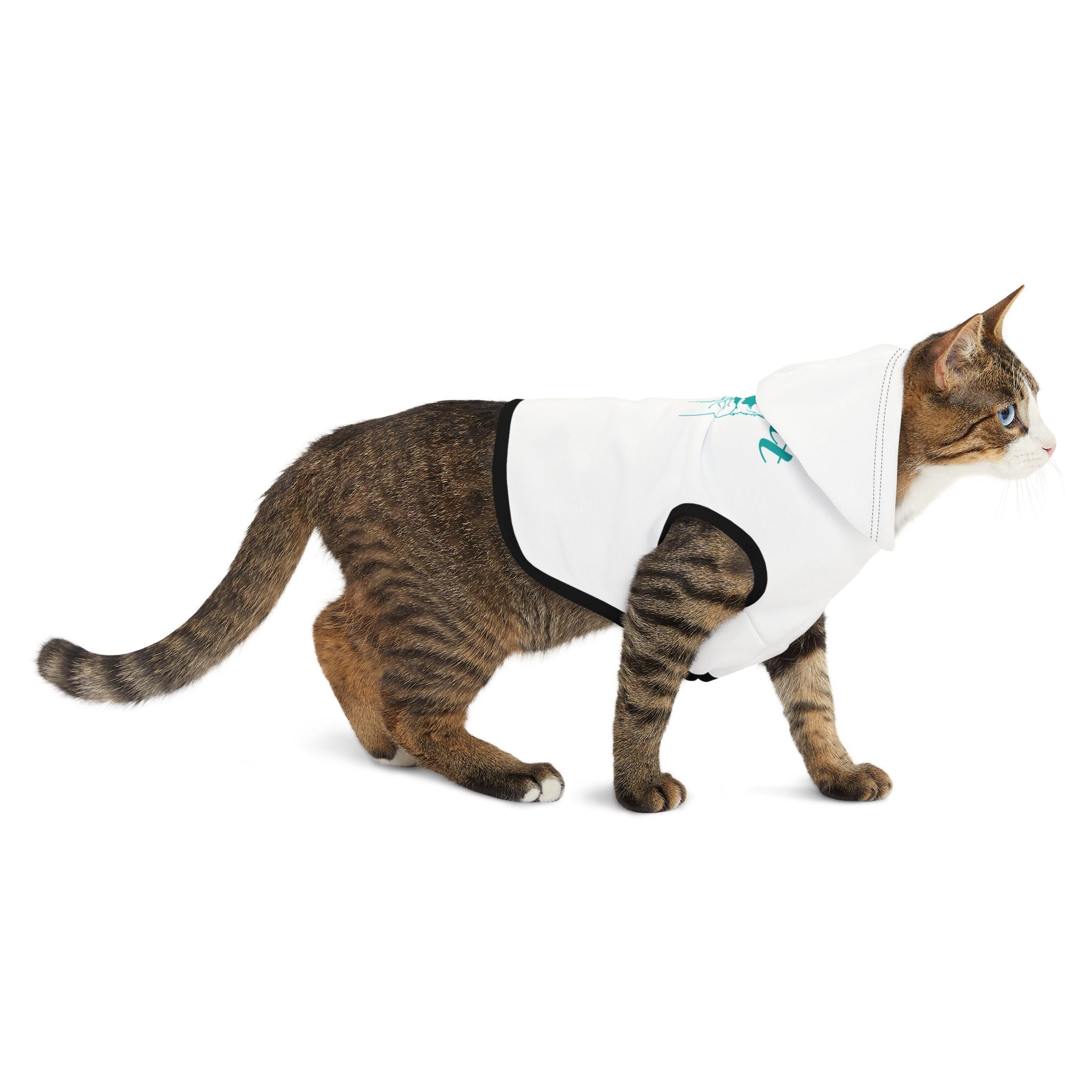 Cool Cat Pet Hoodie — Funny Cat Hoodie for Small Pets