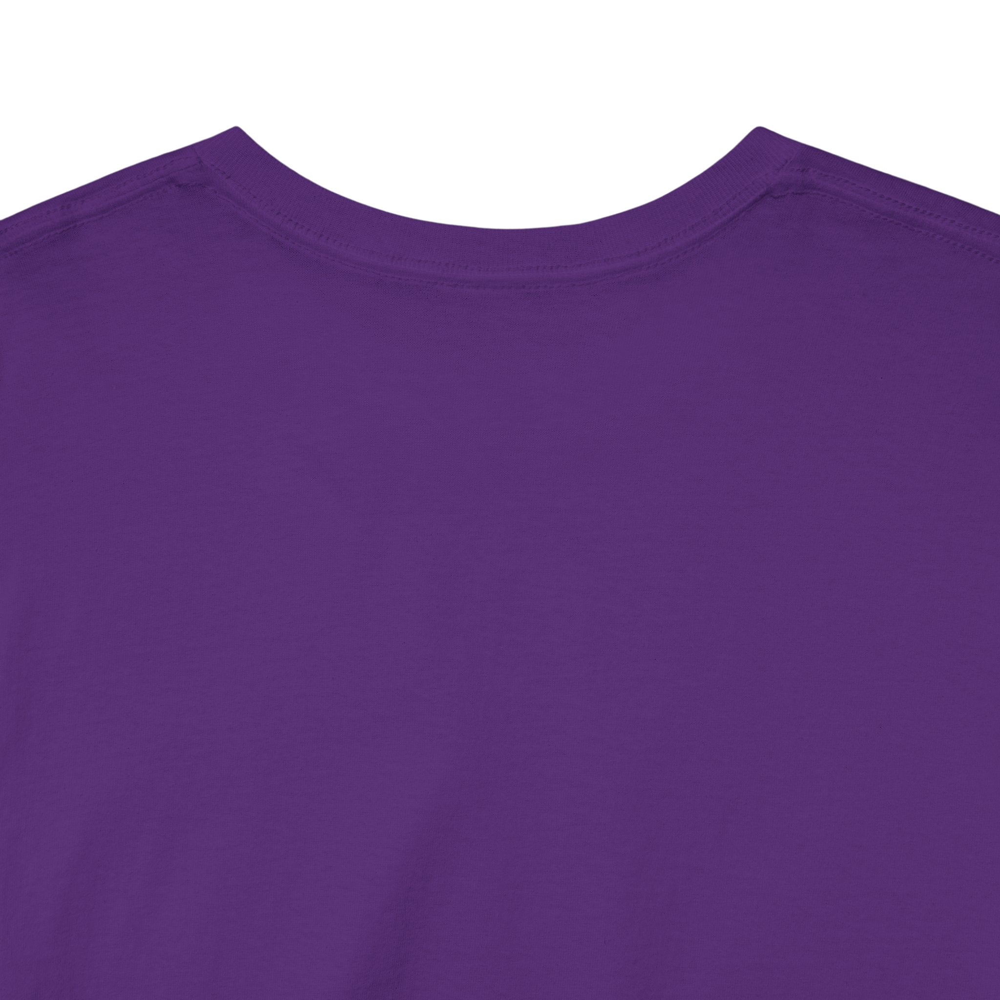 Robinson Court T-Shirt — Vintage College Style Tee