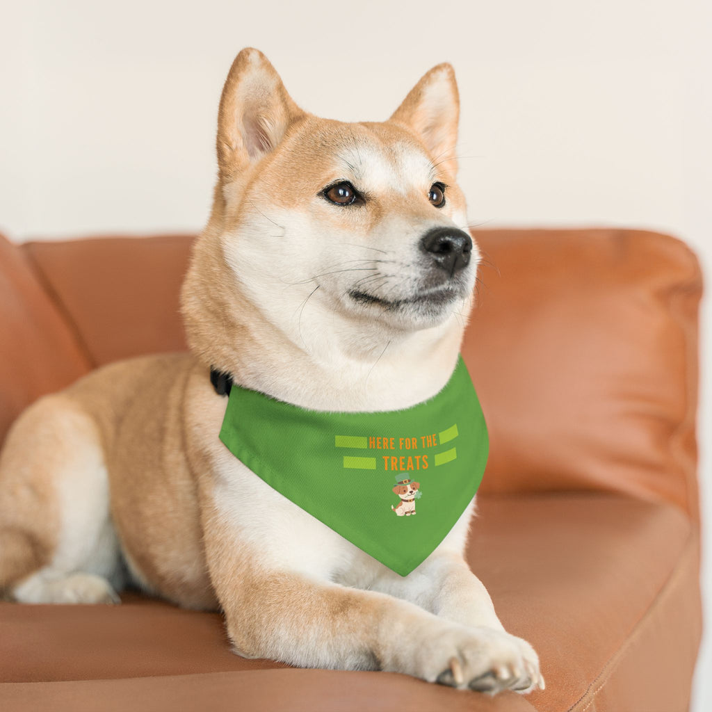 Pet Bandana — "Here for the Treats" Green Dog Collar Accessory