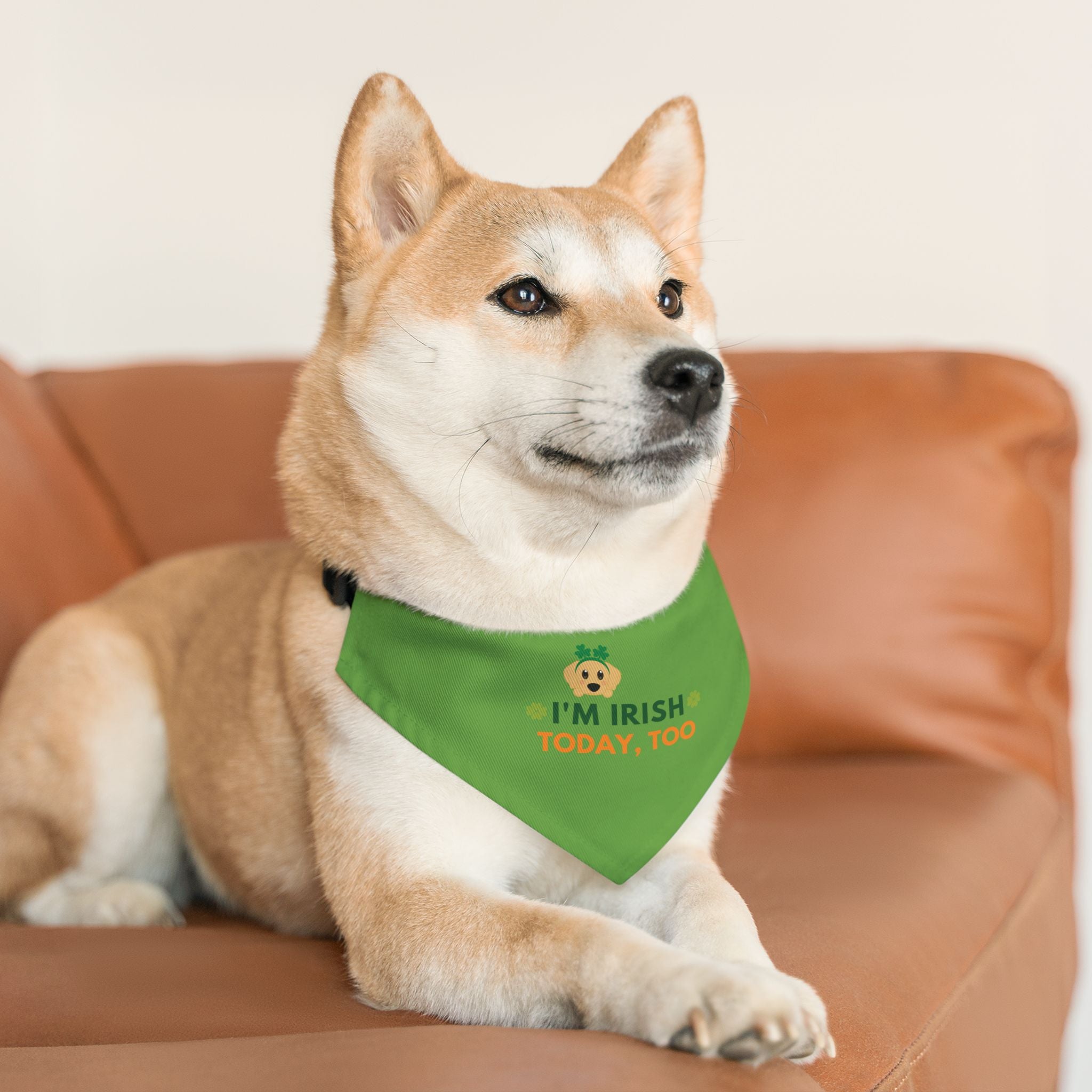Pet Bandana — “I'm Irish today, too” Green Dog Bandana Collar