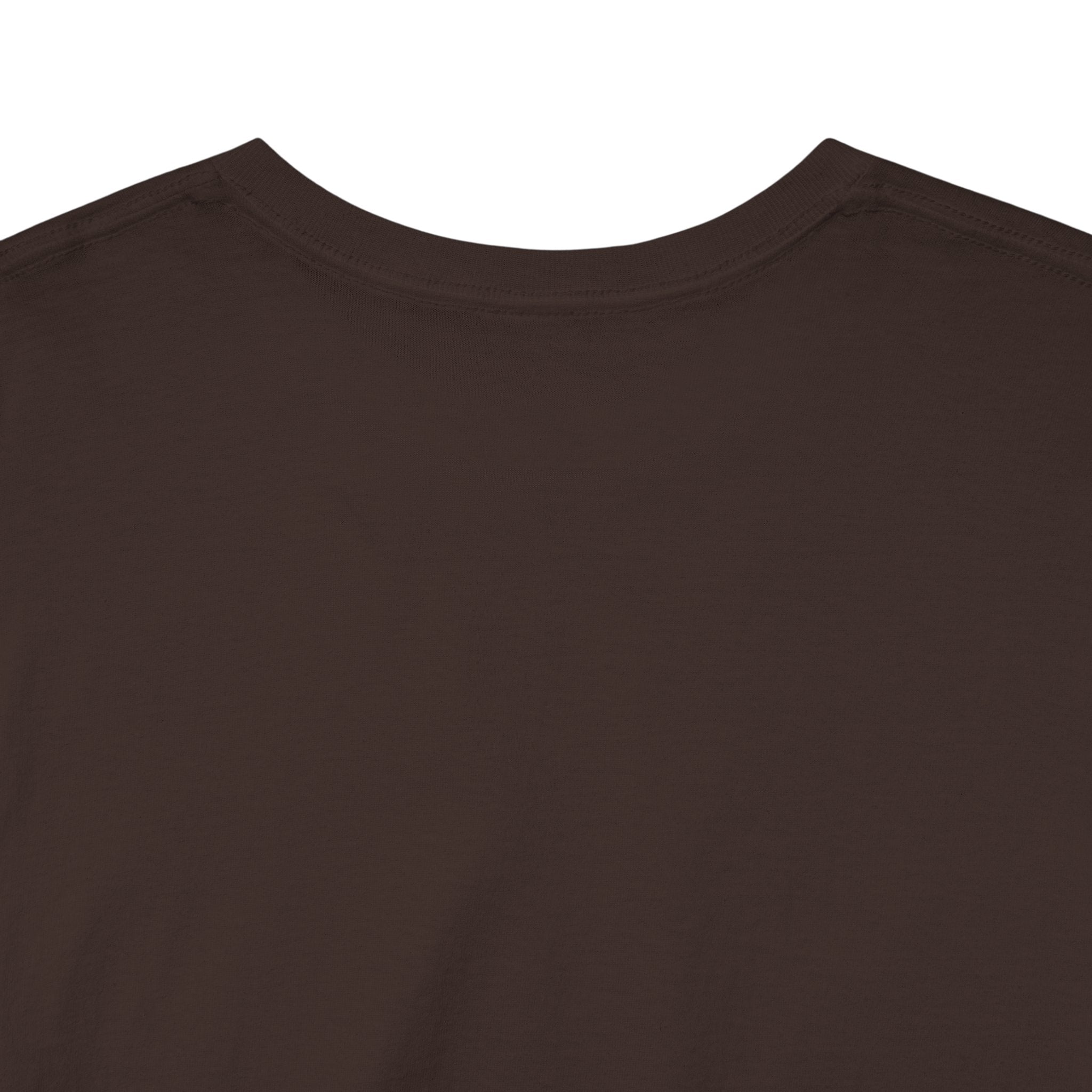 Robinson Court T-Shirt — Vintage College Style Tee