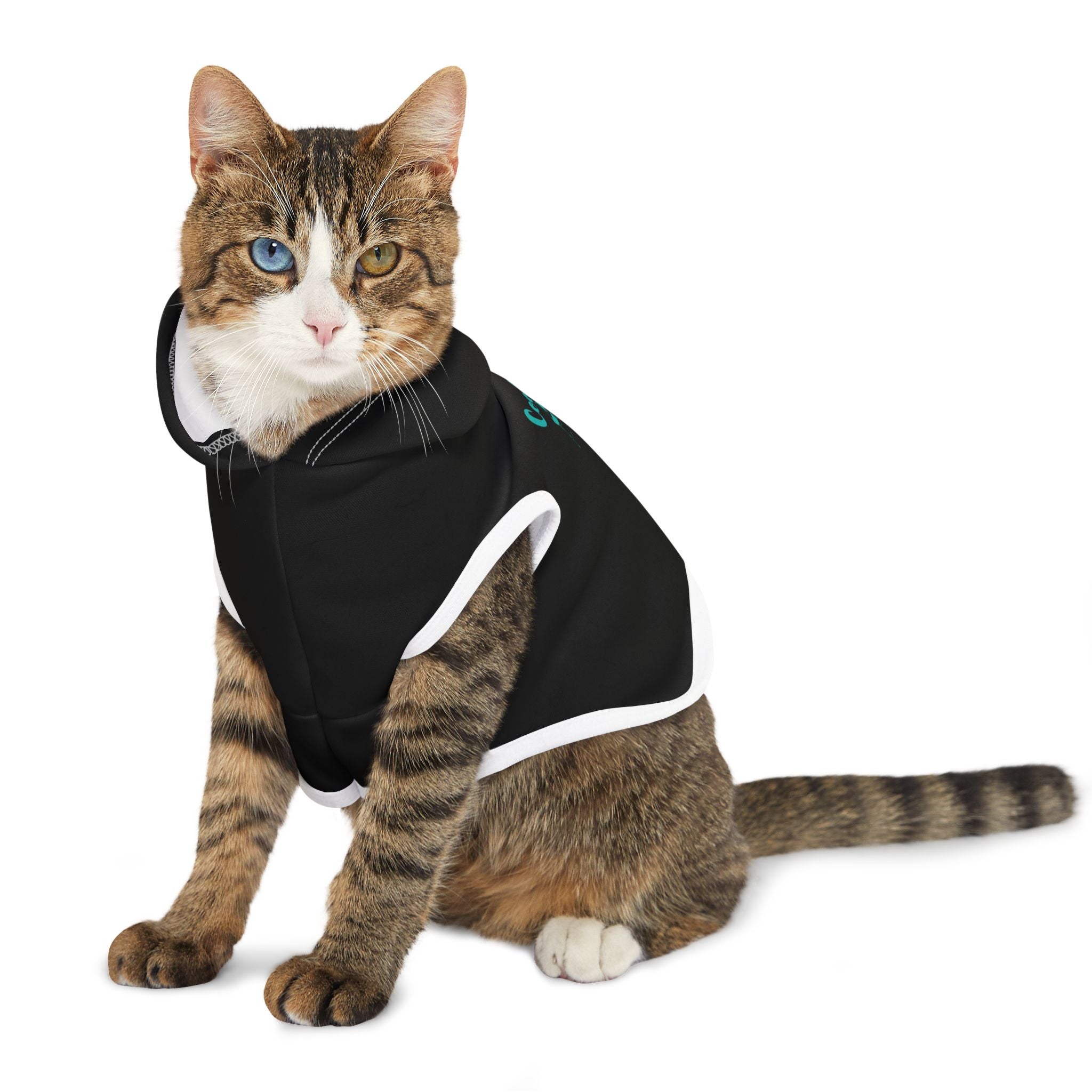 Pet Hoodie - "Cool Cat" Graphic Hooded Dog & Cat Sweatshirt for Small Pets