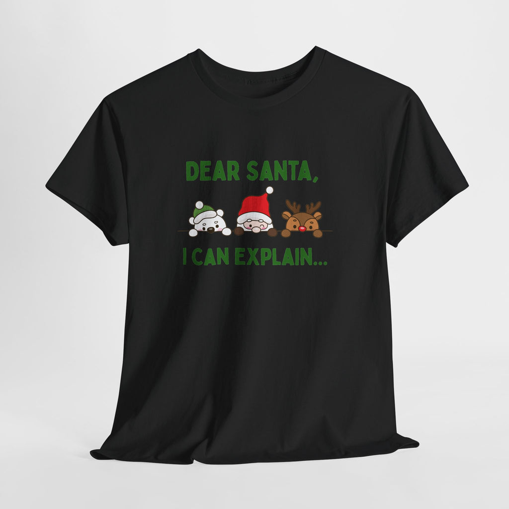 Dear Santa I Can Explain Christmas T-Shirt