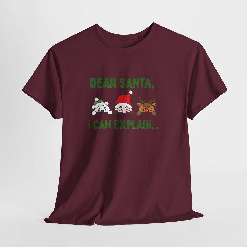 Dear Santa I Can Explain Christmas T-Shirt