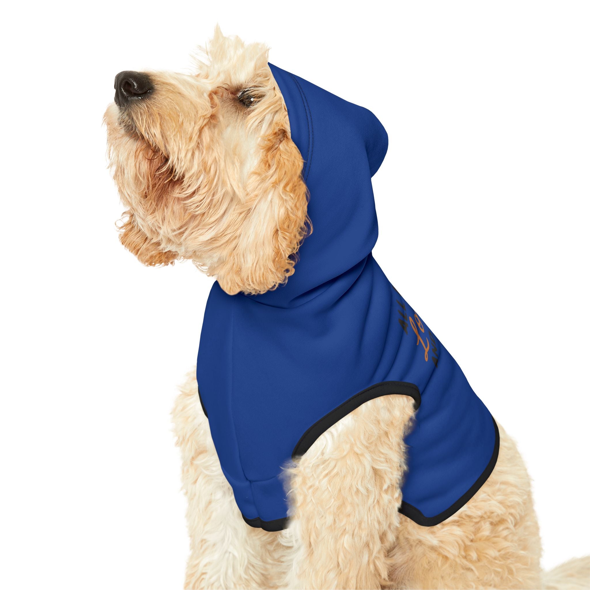 All I need is some love and my human Pet Hoodie