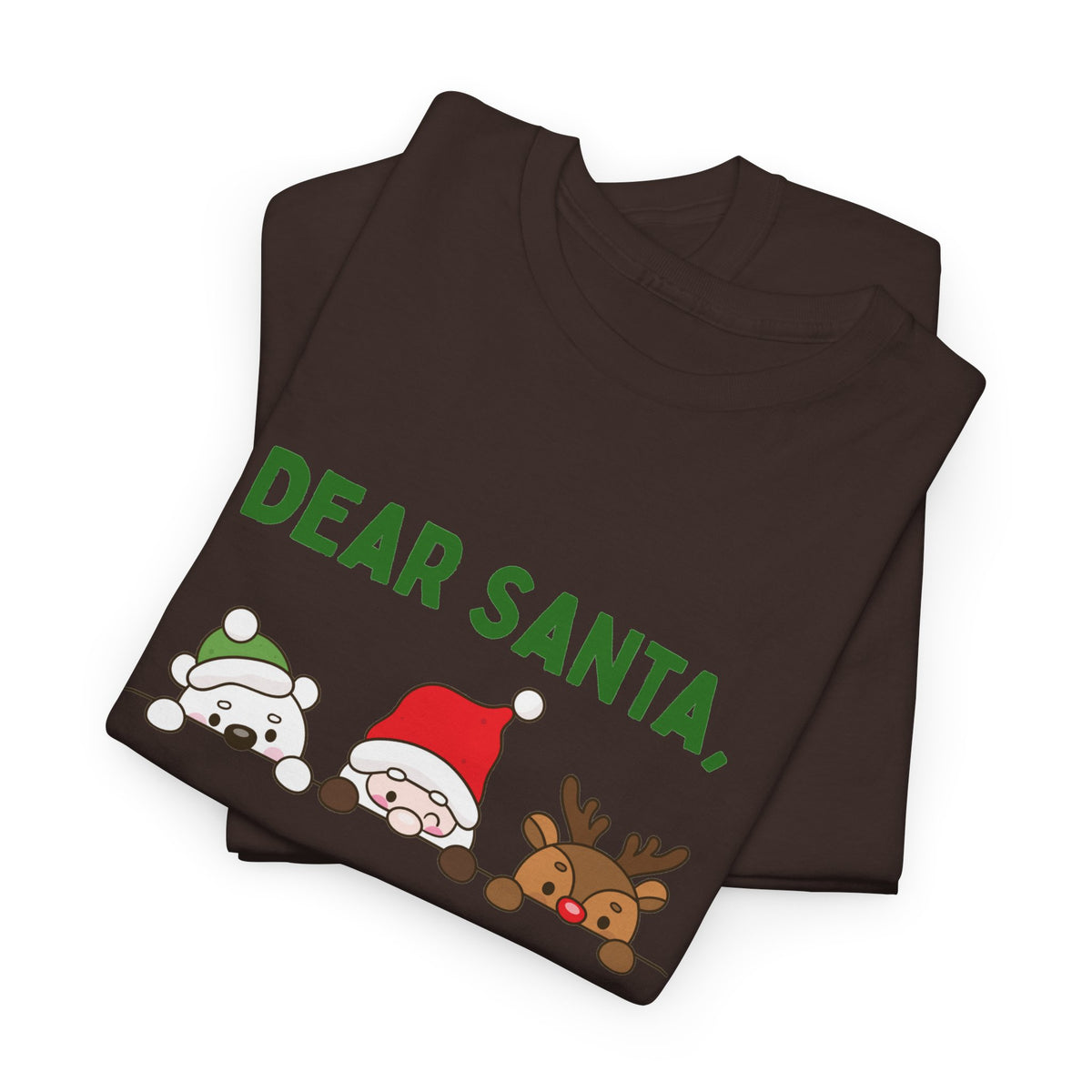 Dear Santa I Can Explain Christmas T-Shirt