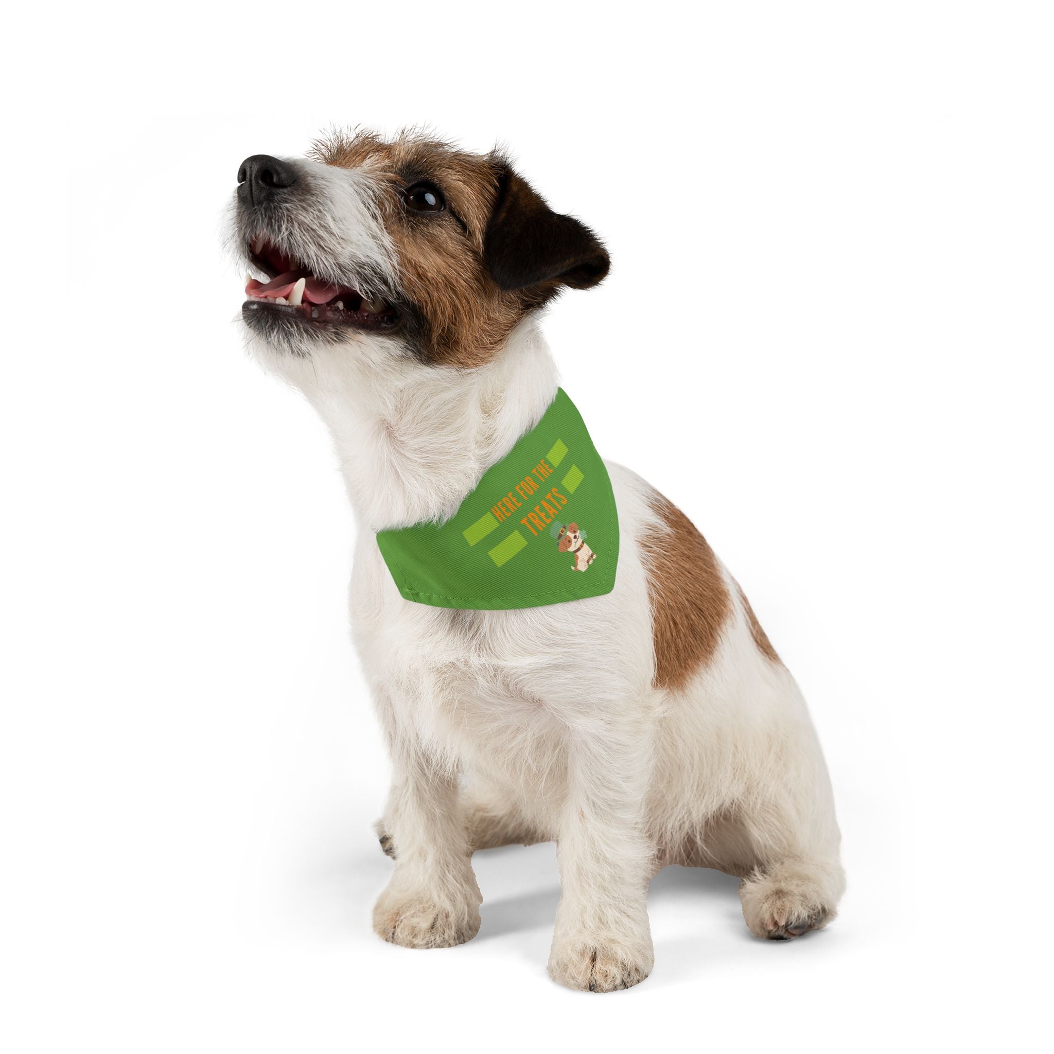 Pet Bandana — "Here for the Treats" Green Dog Collar Accessory