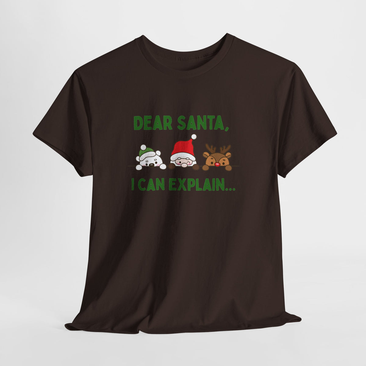 Dear Santa I Can Explain Christmas T-Shirt
