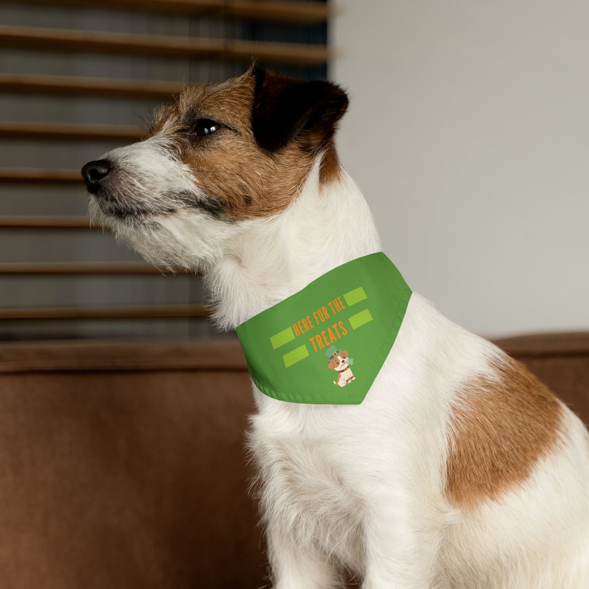 Pet Bandana — "Here for the Treats" Green Dog Collar Accessory