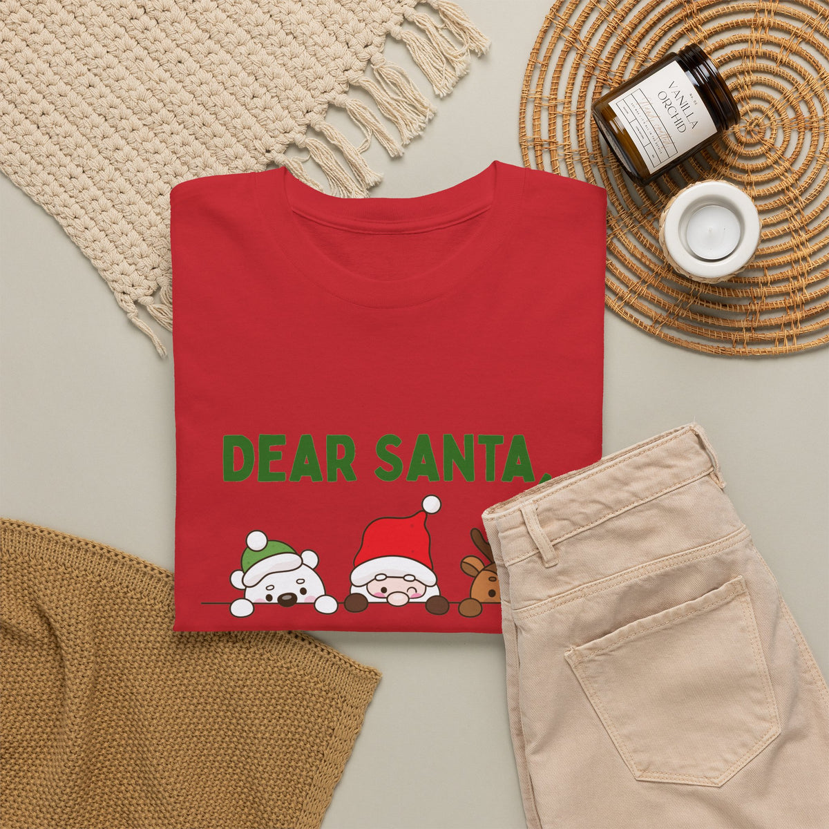Dear Santa I Can Explain Christmas T-Shirt