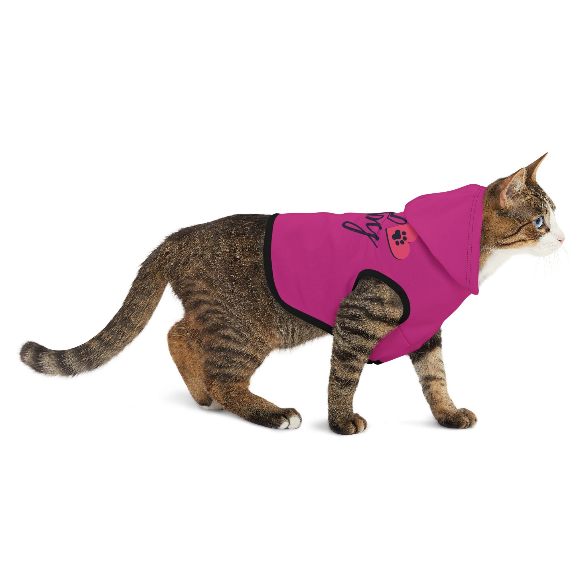 Furr Baby Pet Hoodie