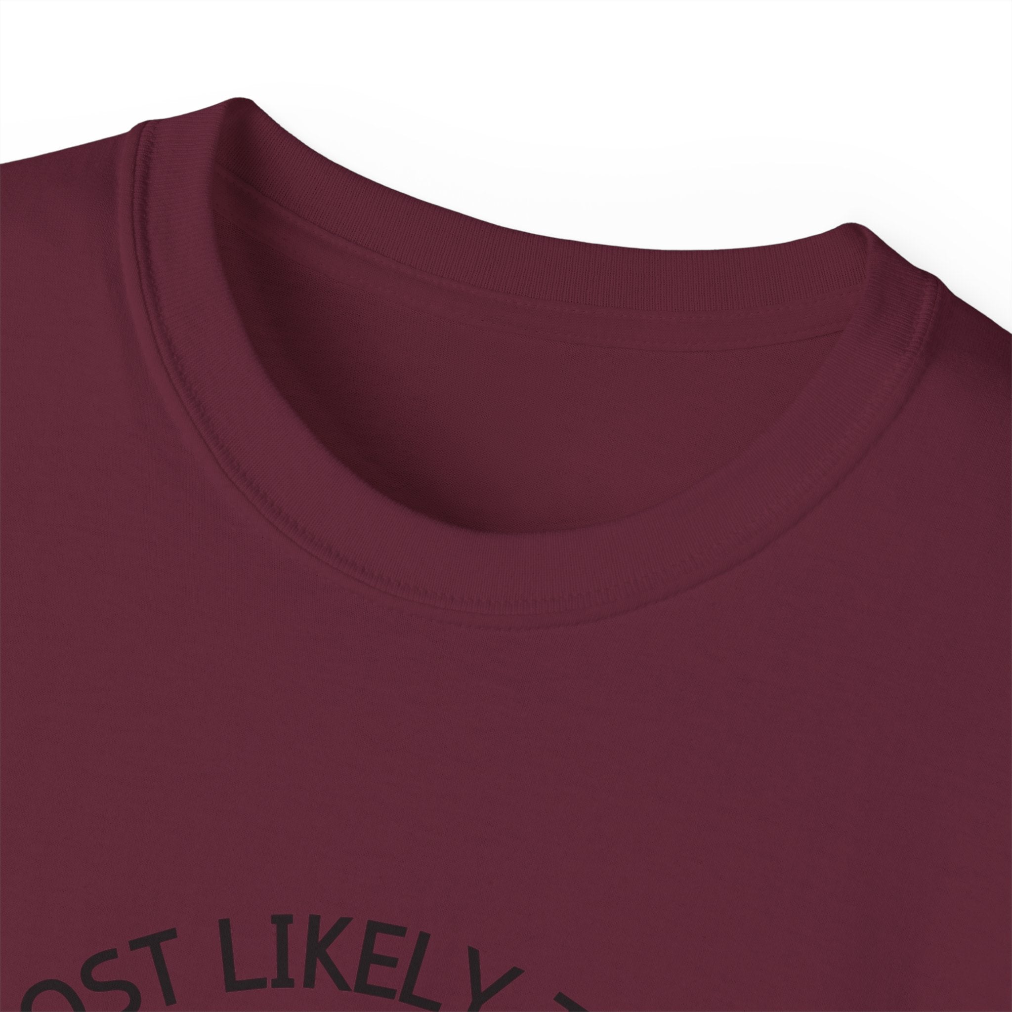 Funny Holiday T-Shirt - 'Most Likely to Be Nice Until Proven Naughty'