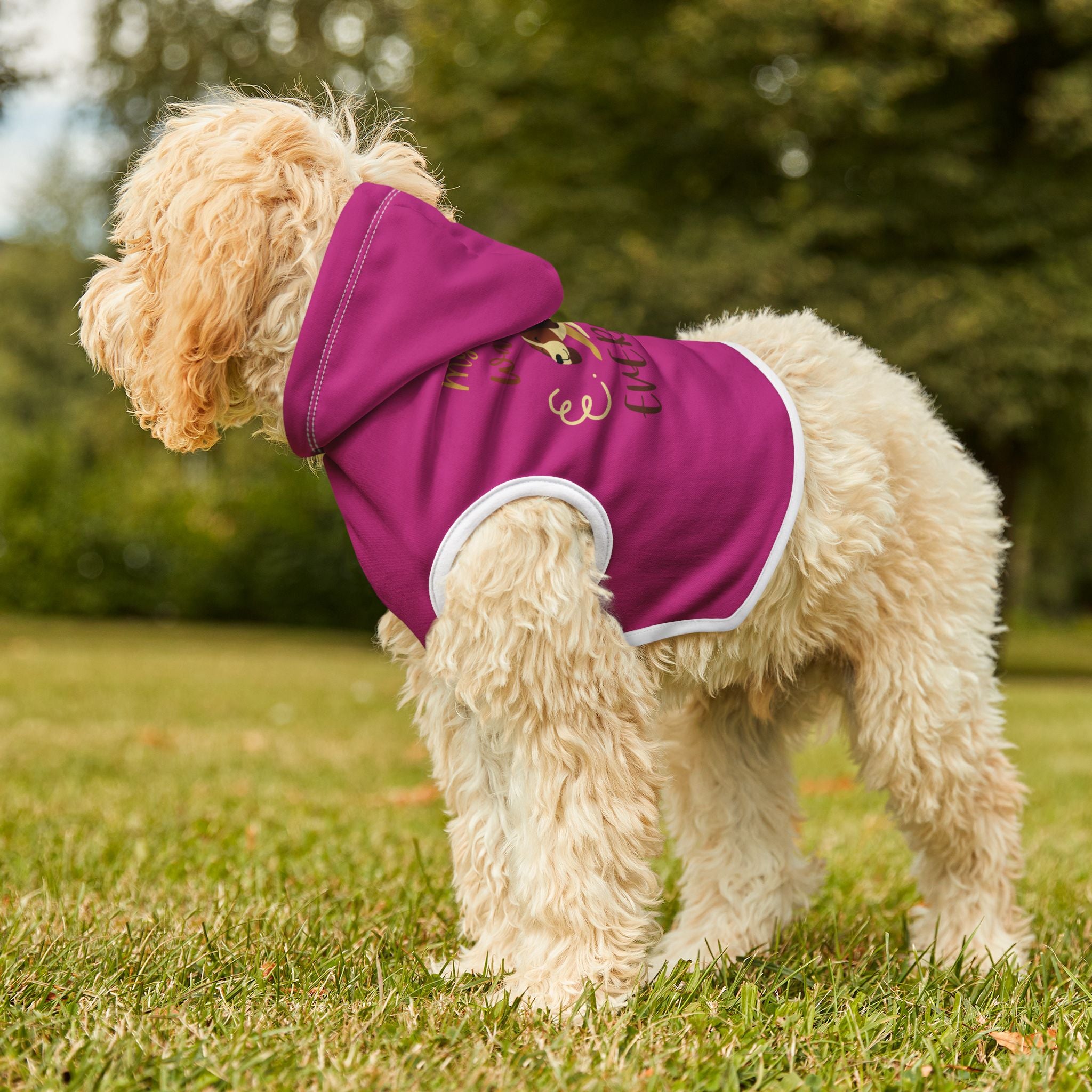 Pet Hoodie - "My Human Walks Me Everyday" Pink Dog Hoodie for Small Dogs, Cute Warm Pet Coat