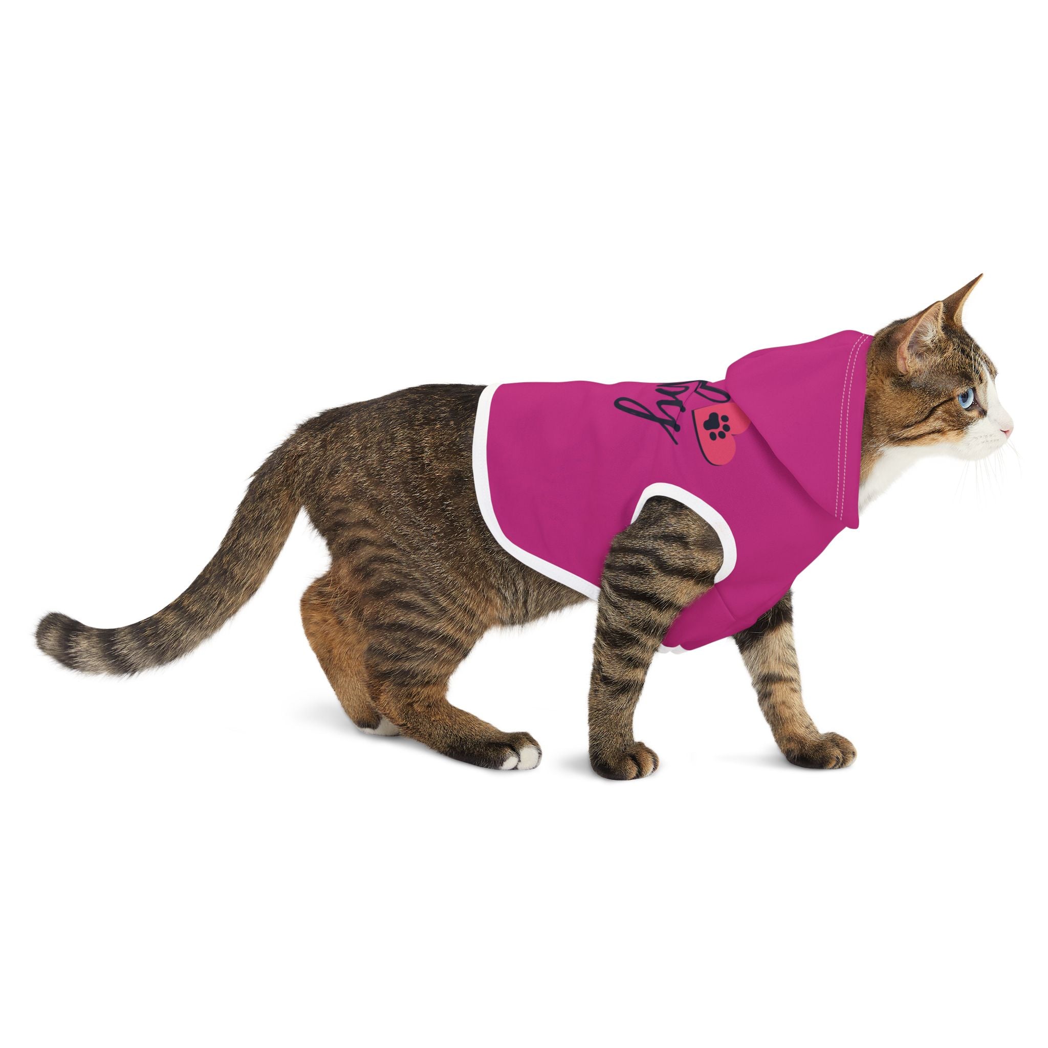 Furr Baby Pet Hoodie