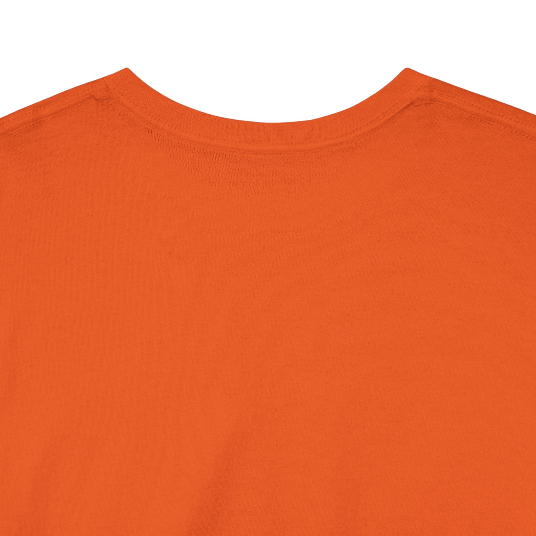 Robinson Court T-Shirt — Vintage College Style Tee